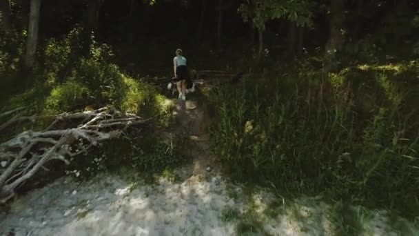 Femme et chien près de l'entrée de la forêt avec des arbres verts luxuriants entourant la région — Video