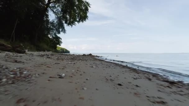 Backward Tracking Shot της άδειας παραλία Rocky παράλληλα με τη ζούγκλα — Αρχείο Βίντεο