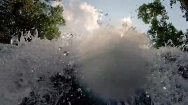 Árvores da floresta e água jorrando através da câmera em primeiro plano — Vídeo de Stock