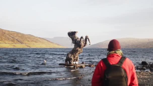 Мандрівник дивиться на скульптуру коня у воді — стокове відео