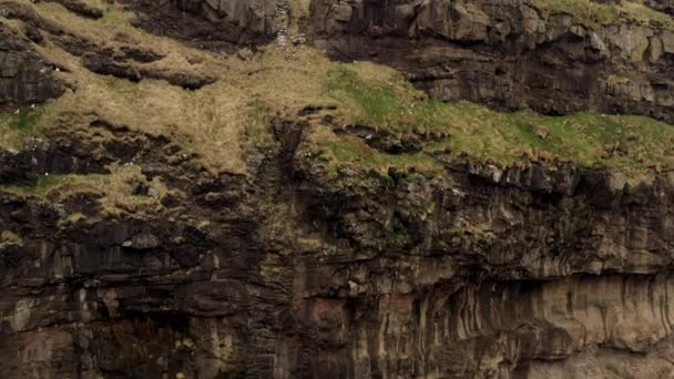 Drone sköt av gräsiga klippan ansikte — Stockvideo