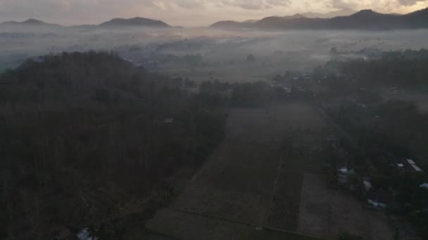 Drone Shot of Heavenly Skies et Horizon of Land avec des arbres couverts de brouillard — Video