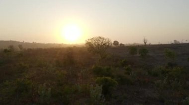 Yeşiller Ağaçlarla Dolu ve Arkaplanda Güzel Günbatımı