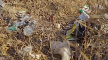 Güneşli bir günde Dal ve Kuru Çimenlerle Yerde Plastik Çöp