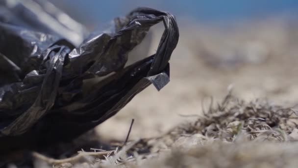 Bolsa de basura de plástico negro desechada en medio de la costa — Vídeo de stock
