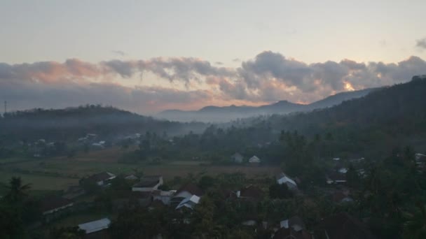 Панорамная аэросъемка лесных деревьев и горного силуэта, Индонезия — стоковое видео