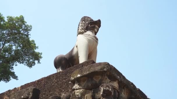 Up Shot of Temple Guardian Dog in Angkar Wat Temple in Cambodia — Stock Video