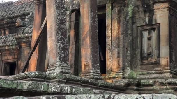 Hombre huyendo de las tumbas en un templo camboyano — Vídeos de Stock
