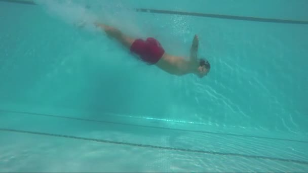 Плавальний басейн з водою, що блищить від Сонця та людини, які пірнають і плавають під водою — стокове відео