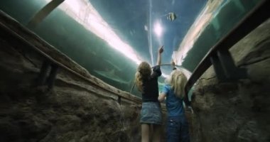 Çocuklar Akvaryum Tünelinde Yüzen Büyük Balıkları Takip Ederken