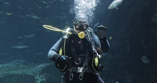 Peixes nadando ao redor com um mergulhador em snorkles e tanque acenando — Vídeo de Stock