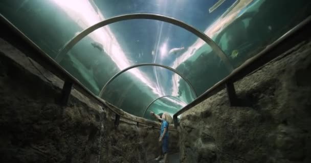 Niños mirando alrededor del túnel del oceanario disfrutando de la vista de los peces — Vídeo de stock