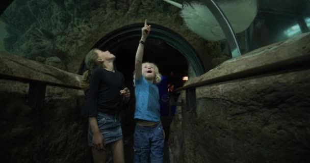 Testvérek felfelé mutatnak, ahogy csodálják a gyönyörű halakat az Oceanarium alagútból. — Stock videók