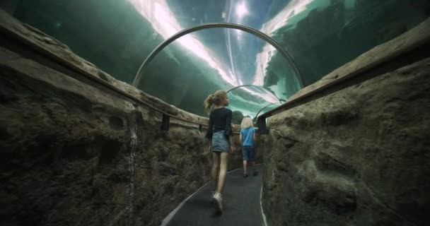 Kisfiú és lány kóborolnak az Oceanarium alagút körül a cápákkal úszás — Stock videók