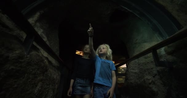 Sorprendidos hermanos caminando a lo largo del túnel del Oceanario explorando criaturas marinas — Vídeo de stock
