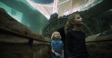 Oceanarium 'daki Temiz Tünelde Yürüyen Çocuklar ve Hayret Ediyor