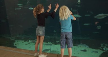 Çocuklar Elleriyle Balıkları Ölçen Çocukla Akvaryumu Keşfediyor