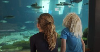 Akvaryumun önünde oturan Kardeşler Balıkların ve Manzaranın tadını çıkarıyorlar