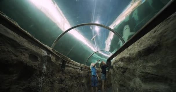 Crianças apreciam a vista dos peixes de um túnel subaquático em um Oceanário — Vídeo de Stock