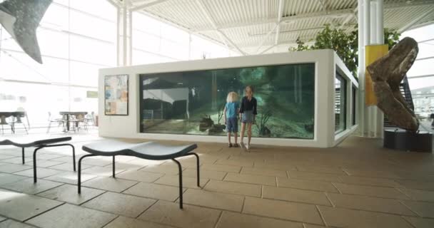 Neugierige Kinder im Ozeanarium, die neben dem Aquarium Fische bewundern — Stockvideo