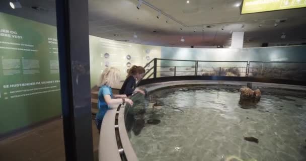 Crianças bonitos em uma viagem educacional mergulhando as mãos na água — Vídeo de Stock