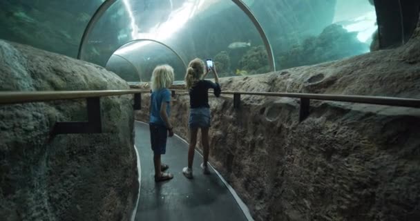 Testvérek az Oceanarium alagúton a lánnyal, akinek telefon van a kezén. — Stock videók