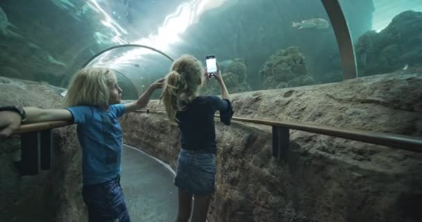 Chica hablando fotos con su hermano pequeño en túnel de vidrio en Oceanarium — Vídeos de Stock