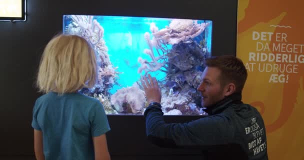 AARHUS, DÄNEMARK - JUNI 2020: Mann und ein kleiner Junge außerhalb des Aquariums mit kleinem Seepferdchen drinnen — Stockvideo