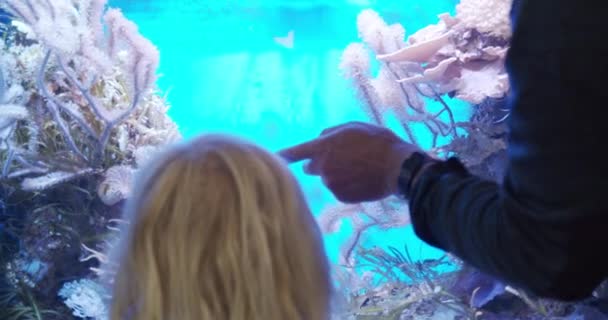 AARHUS, DANIA - CZERWIEC 2020: Zbliżenie Akwarium z konikiem morskim w środku z dwójką dzieci patrzących na niego — Wideo stockowe