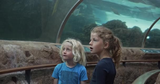 Dos niños en un túnel en Oceanarium mirando a su alrededor — Vídeo de stock