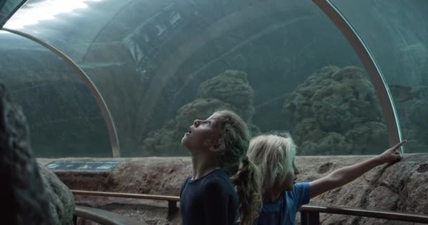 Testvérek felnéz megcsodálva a tengeri lények egy beltéri alagút akvárium — Stock videók