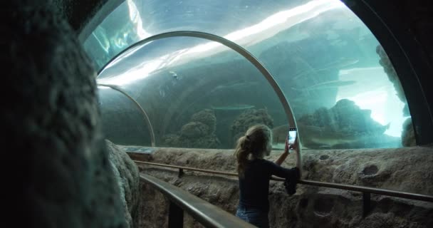 Menina pelos trilhos tirando fotos de peixes dentro do túnel do aquário — Vídeo de Stock