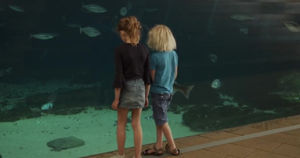 I bambini in un viaggio educativo in piedi a pochi pollici lontano dal vetro dell'acquario — Video Stock