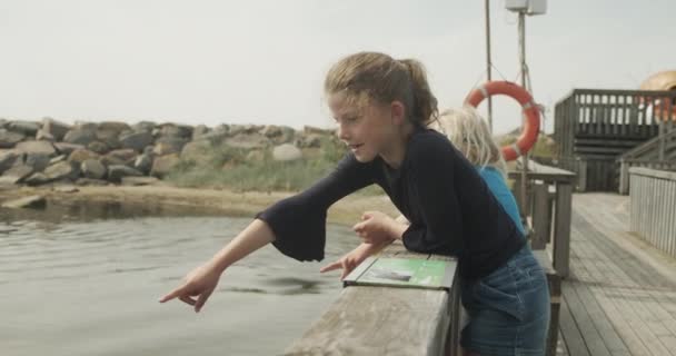 Syskon Titta på i beundran sälar Simning i öppet vatten i Oceanarium — Stockvideo