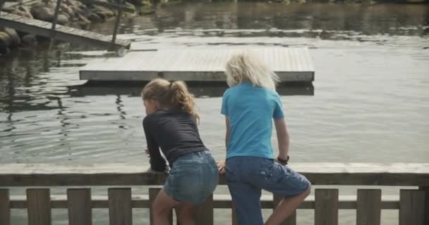 Дети, склоняющиеся над деревянными рельсами, наблюдая за тюленями, плавающими в океанариуме — стоковое видео