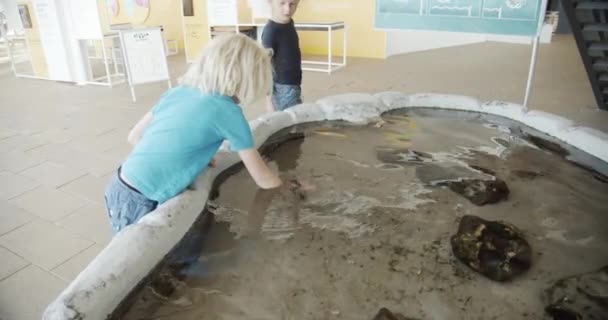 Roztomilý záběr malého chlapce zvedající kraba z vody, Oceanarium — Stock video