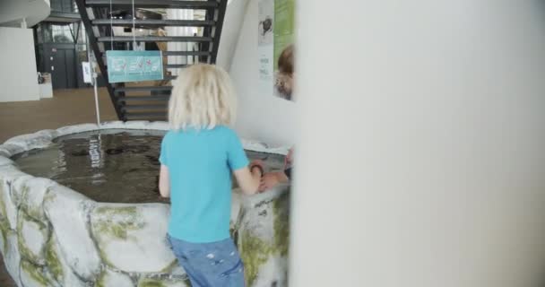 Hermanos junto al estanque rocoso con niño bajando para conseguir un cangrejo — Vídeos de Stock