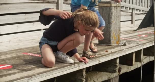 Мальчик и девочка смотрят вниз по озеру, когда они тянут удочку в воде — стоковое видео