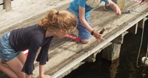 Irmãos pegando caranguejo com o menino puxando sua corda da água — Vídeo de Stock
