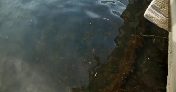 Rippling Water met de lucht reflecteren op het meer — Stockvideo