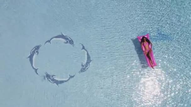 Vrouw met Slender Lichaam rust op Floatie met mooi zwembad — Stockvideo