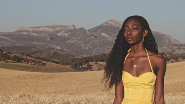 Champs ouverts et femme debout au milieu de celui-ci bénéficiant d'une brise chaude — Video