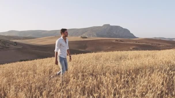 Vue panoramique du mannequin masculin marchant dans les champs ouverts et le ciel ensoleillé — Video