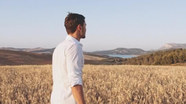 Clip de hombre con la cabeza vuelta contra la cámara caminando en el campo de trigo en verano — Vídeo de stock