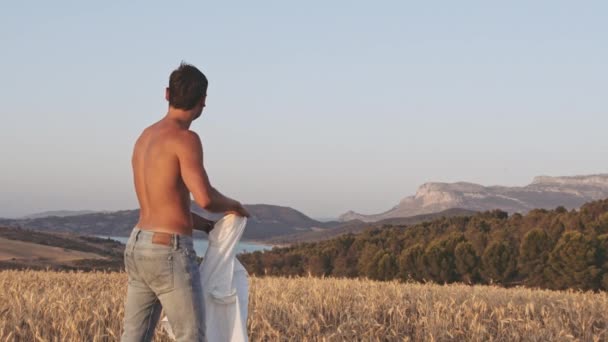 Man Flings tröja på axeln och går i öppna vetefält under soliga dagen — Stockvideo