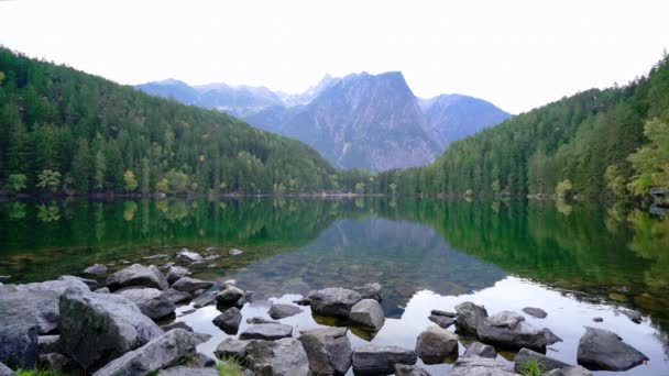 Gyönyörű kilátás egy erdő és annak tükröződése a patak, hegy és ég — Stock videók