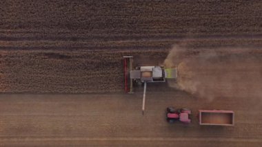 Tarlada hasat hasat yapan traktör ve traktörün dronu