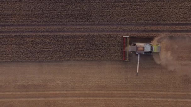 Drone of Combine Harvesting Crops In Field — Stock video