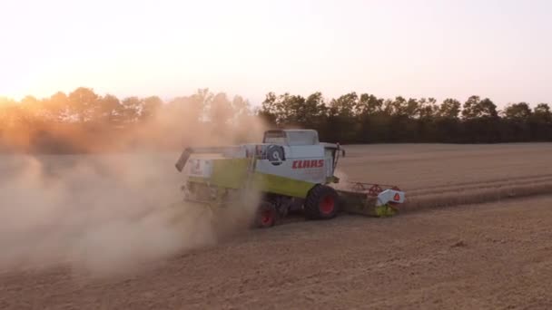 Drohne des Mähdreschers erntet Weizen im Feld — Stockvideo