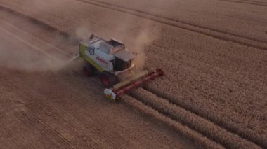 Günbatımında Buğday Ürünlerini Birleştiren Drone